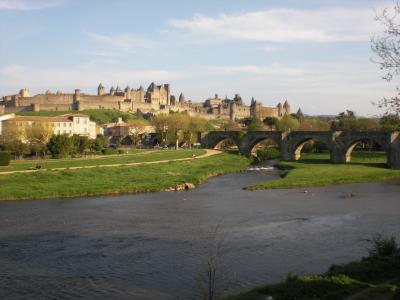 20100506133545-cimg2722.jpg